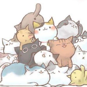 Meet your Posher, Adriana